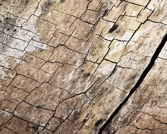 PAESI Grigi Loop Natural Texture (Wood) Piastrelle di tappeti commerciali