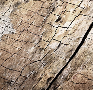 PAESI Grigio chiaro Loop Natural Texture (Wood) Piastrelle di tappeti commerciali