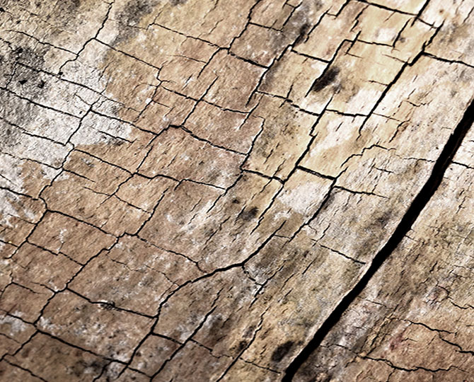 PAESI Blu Loop Natural Texture (Wood) Piastrelle per tappeti commerciali